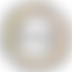 Collaboration with Assembly work 