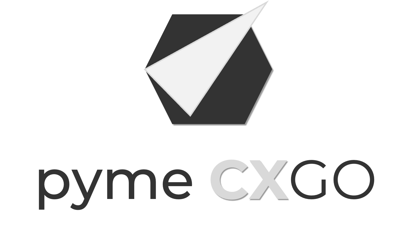 Foto del escritor: CXGO Lab