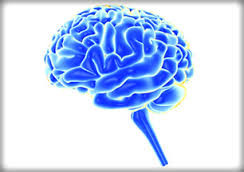 MIND diet