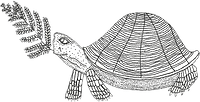 turtle new 1 (1).png