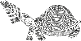 turtle new 1 (1).png