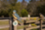Create Your Own Nature Playground