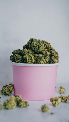 Close-up of premium, cannabis flower buds for sale at a licensed Hamptons, New York dispensary.