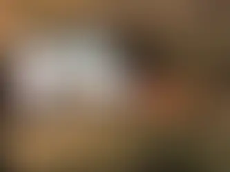 Quels travaux peut faire un paysagiste ?