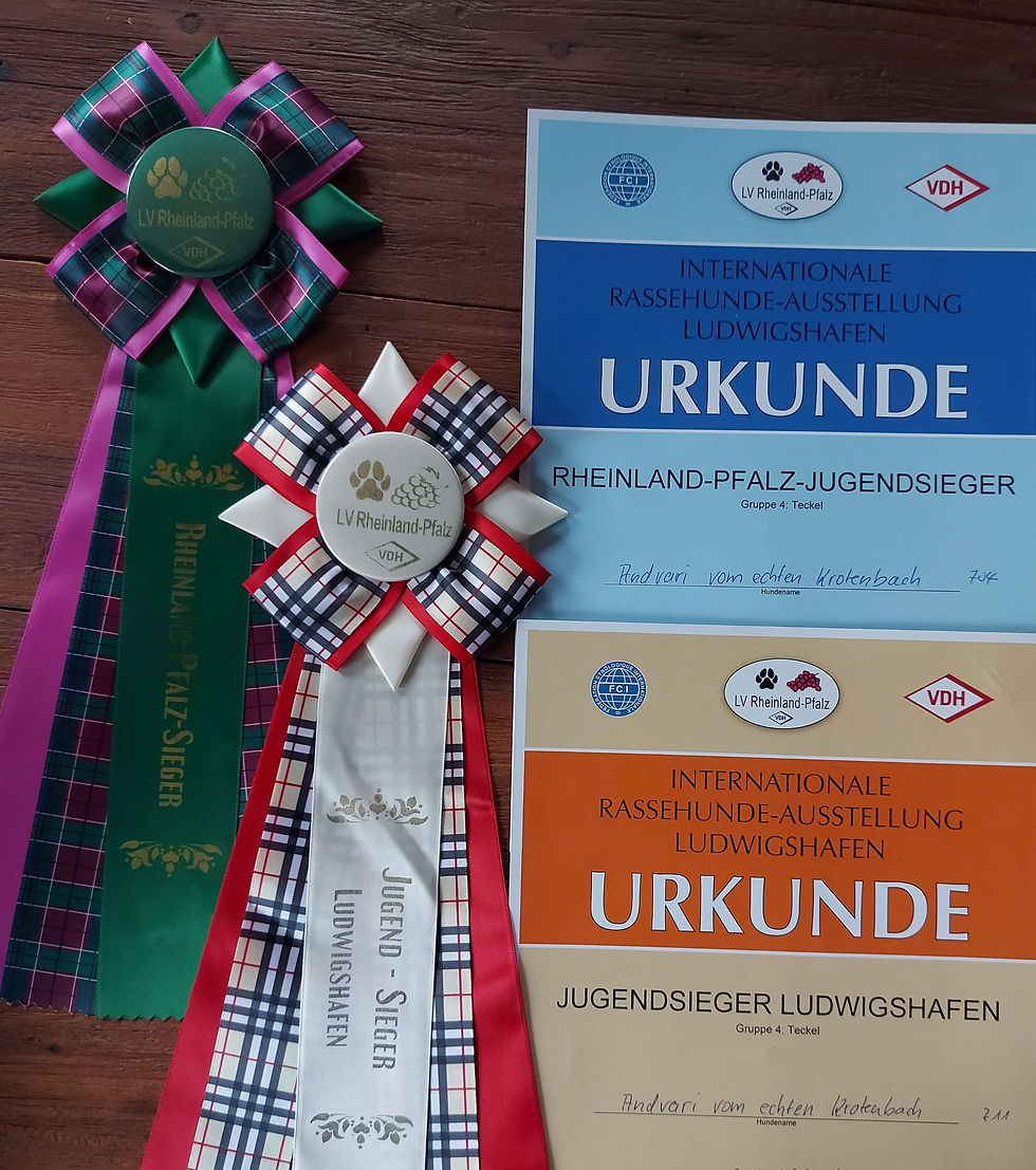 Schleifen und Urkunden