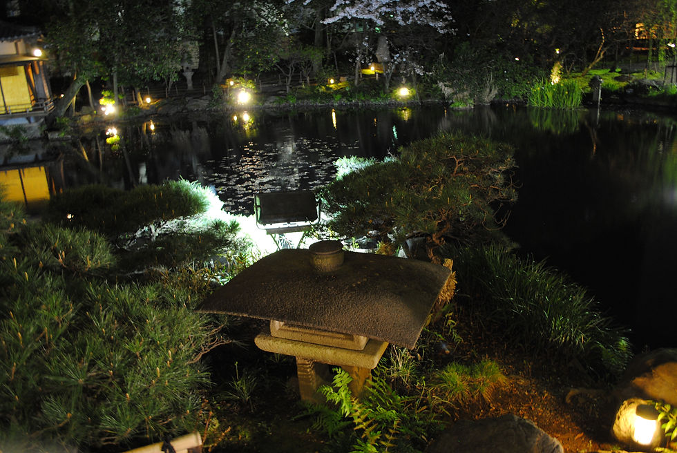 DSC_0896.JPG