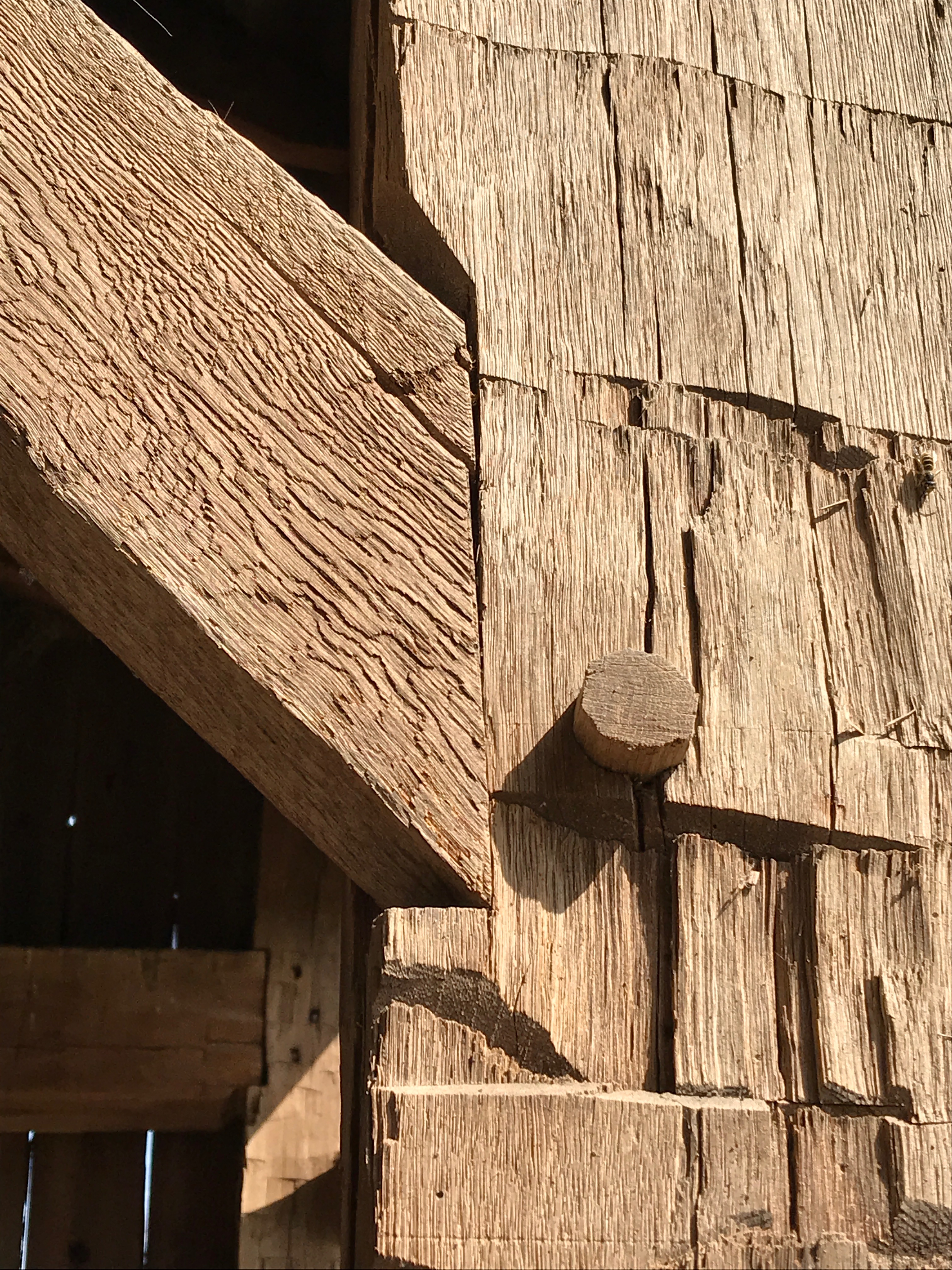 Hampton Barn