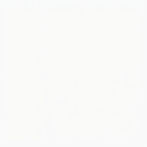 plain white page.jpg