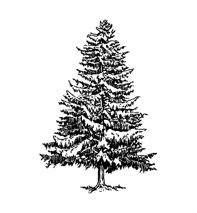 Corporate Postcard (2).png