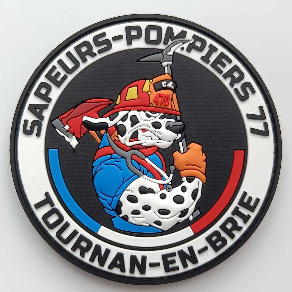 Miniature : Écussons SDIS 77