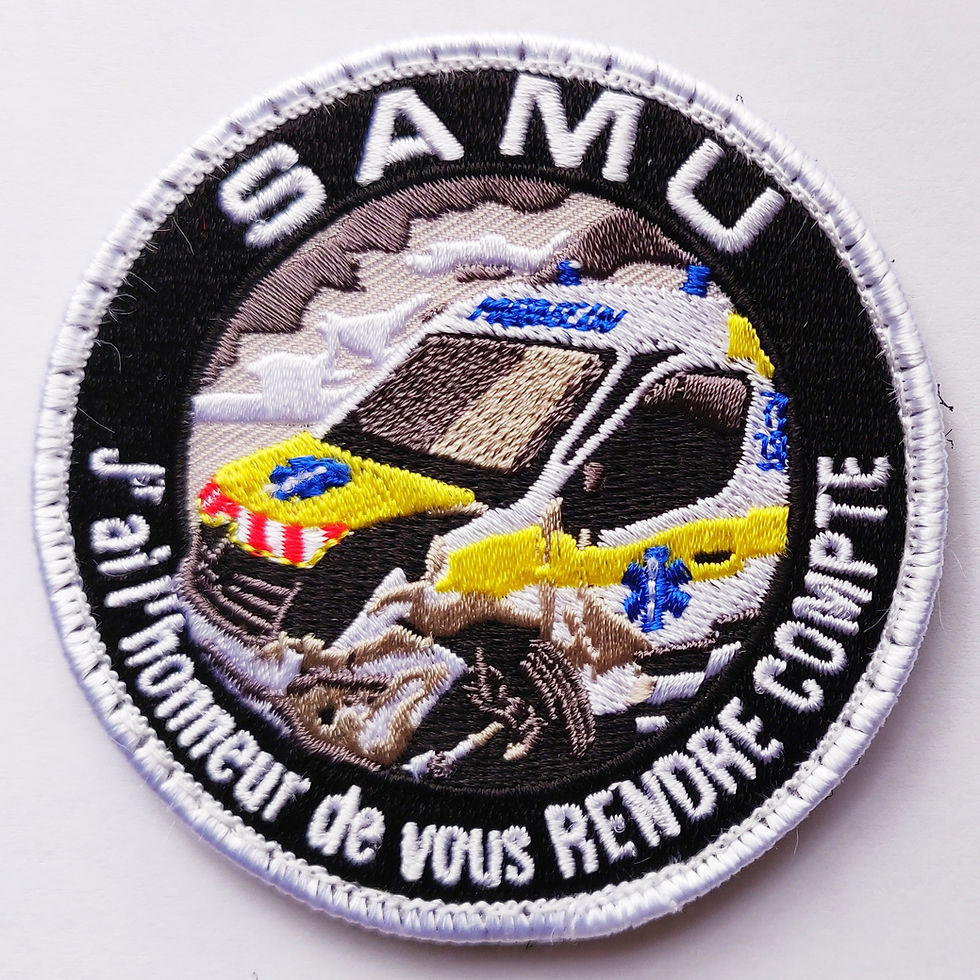 Miniature : Écussons SAMU_SMUR / Secours "Funs" No. 1