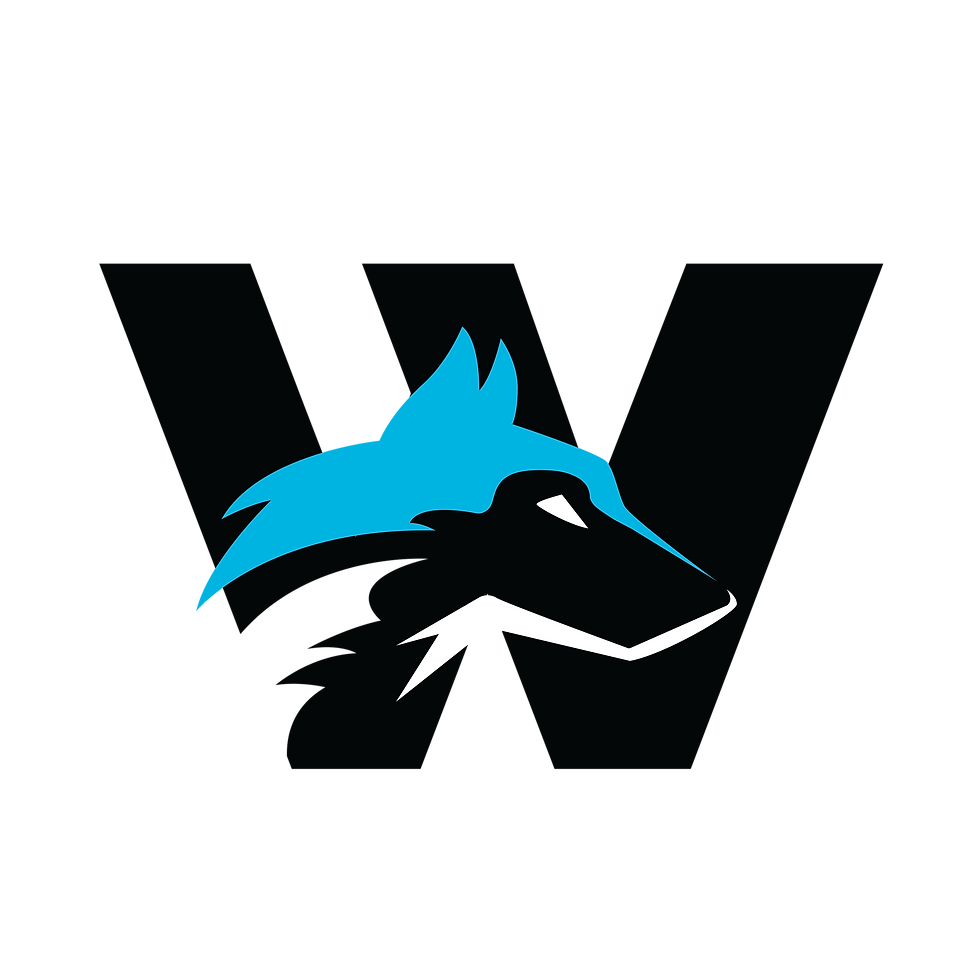WPTA-LOGO-04.png