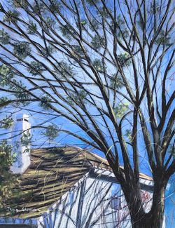 THERE WILL BE NEW SPRING