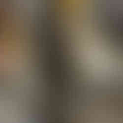 diagnostico y reparacion de cajas dsg