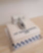 17965683628861195.webp
