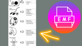 the impact of EMF's on fertility