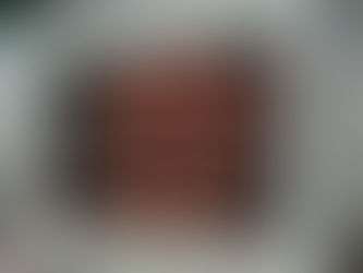 インクルーシブ水泳記録会