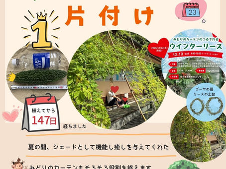 「みどりのカーテン日記」9月23日