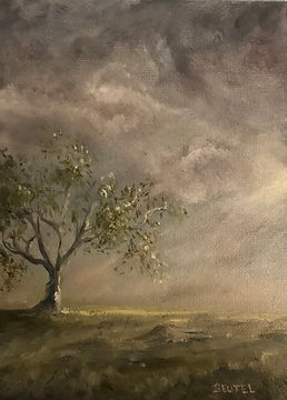 Lone Tree-Mark Beutel.jpeg