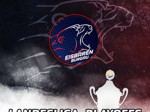 Ticket-Info Playoffs