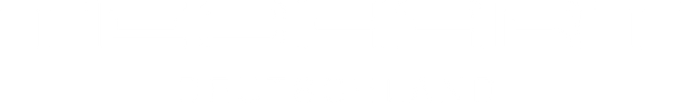 Schriftzug Techart Deutschland