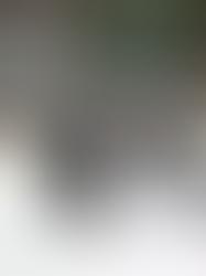 Heimsieg zum Start in's neue Jahr