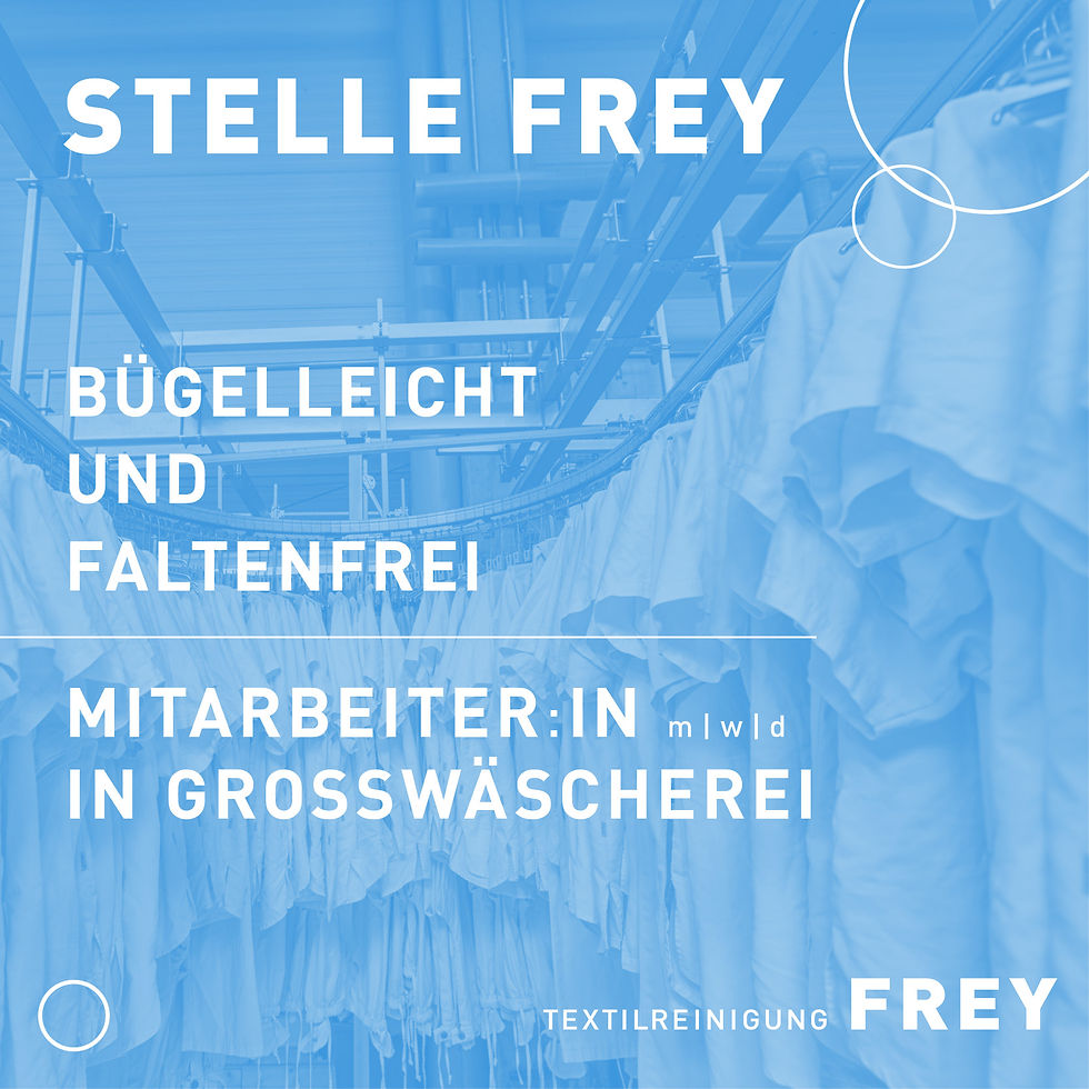 FB 7 Mitarbeiter in Grosswäscherei.jpg