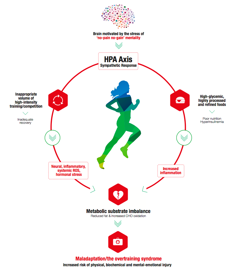 Figure Caption: The fit but unhealthy training and eating paradigm. Photo credit: Sports Medicine Open
