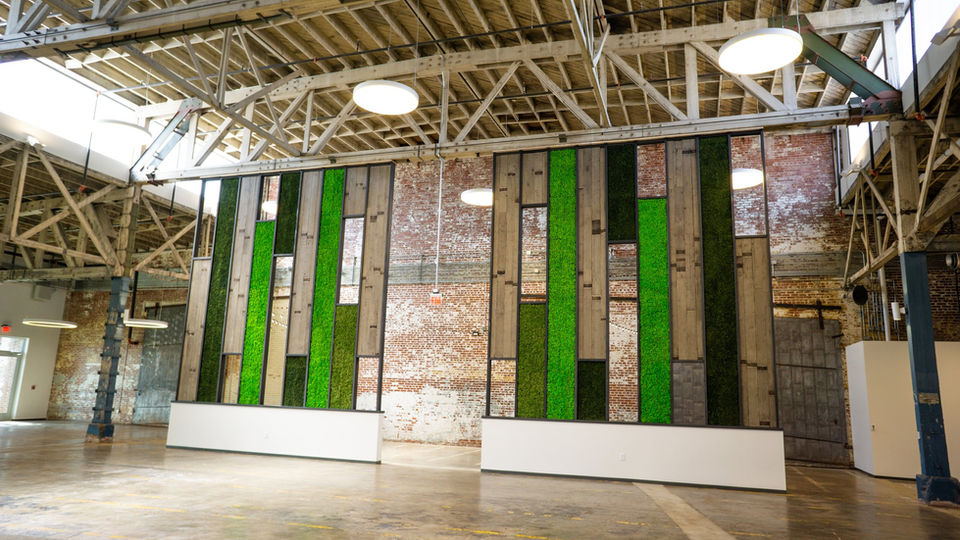 large moss panels - Suite Plants.jpg