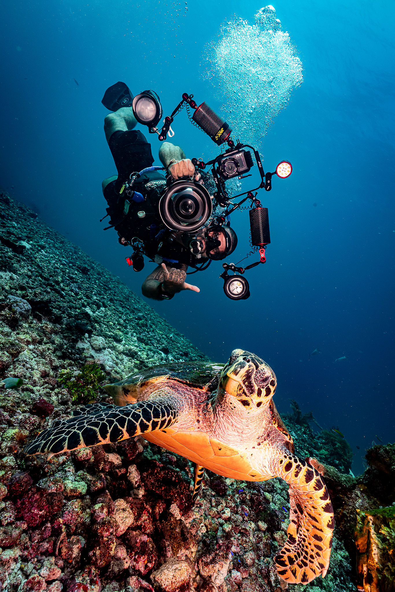 2 DAYS / 2 NIGHTS ( 8 dives ) Option 3
