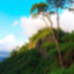 Unique and Memorable kerala mountain.jpg