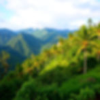 mountain kerala.jpg