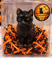 Black Halloween Cat 216g_