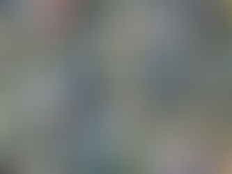 세금 인상에서 살아남는 6가지 방법