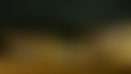 夜! 어서와, ‘낭만 산사’로