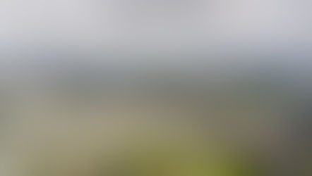 “주소 한 줄 차이에 100만 달러?”