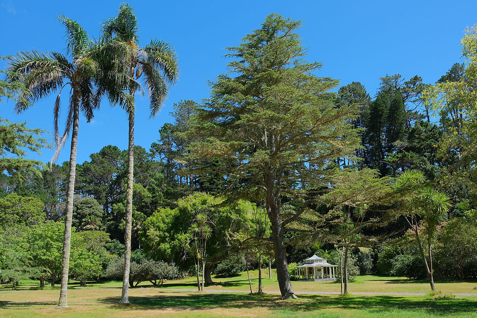 Grounds of Mansion House on Kawau Island (Photo: Pseudopanax at English Wikipedia - Own work)