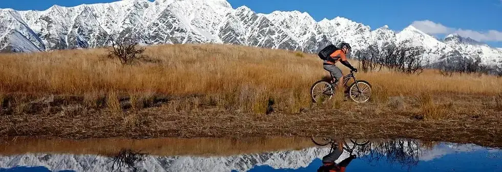 뉴질랜드를 깨끗하게 유지하기! 기본이지만 다시 한번!