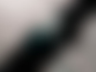 뉴질랜드에서 사업은 위험하다