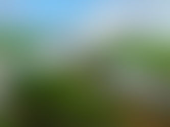 노스랜드 88,000채 정전 '완전 피할 수 있었다'