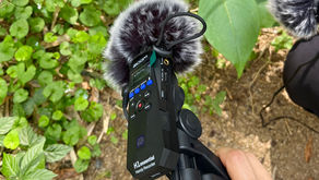 귓가에 퍼지는 미성(微聲)의 울림