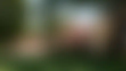 19세기 뉴질랜드로 시간여행… 오클랜드의 살아있는 역사마을 ‘Howick Historical Village’