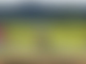 넬슨의 와이너리