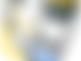 자동차 번호판 인식 시스템, 경찰의 느슨한 관리 드러나