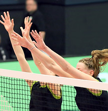volleyball-4110934_1920.jpg
