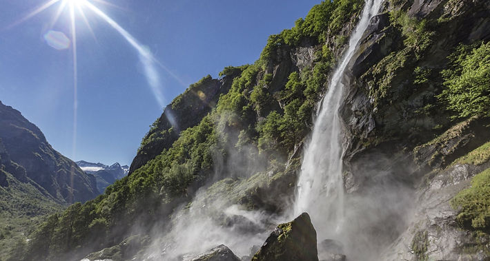 Trova l'altalena fra gli alberi.