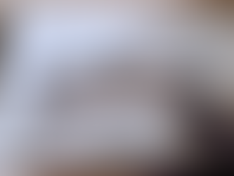 The Pembroke Herring History 