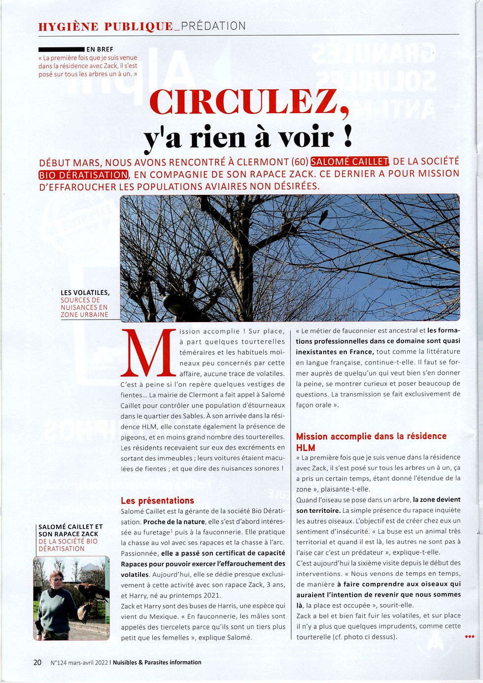 L'effarouchement pour lutter contre les populations aviaires envahissantes