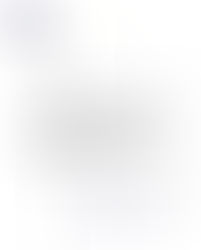 新中国联邦致拜登总统和布林肯国务卿关于关闭美国驻北京大使馆的感谢信