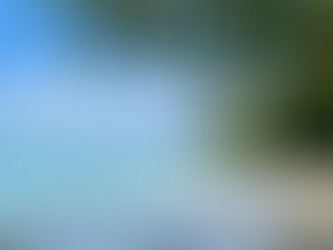 Costa Rica Itinerary: 10 Days for Beach Lovers